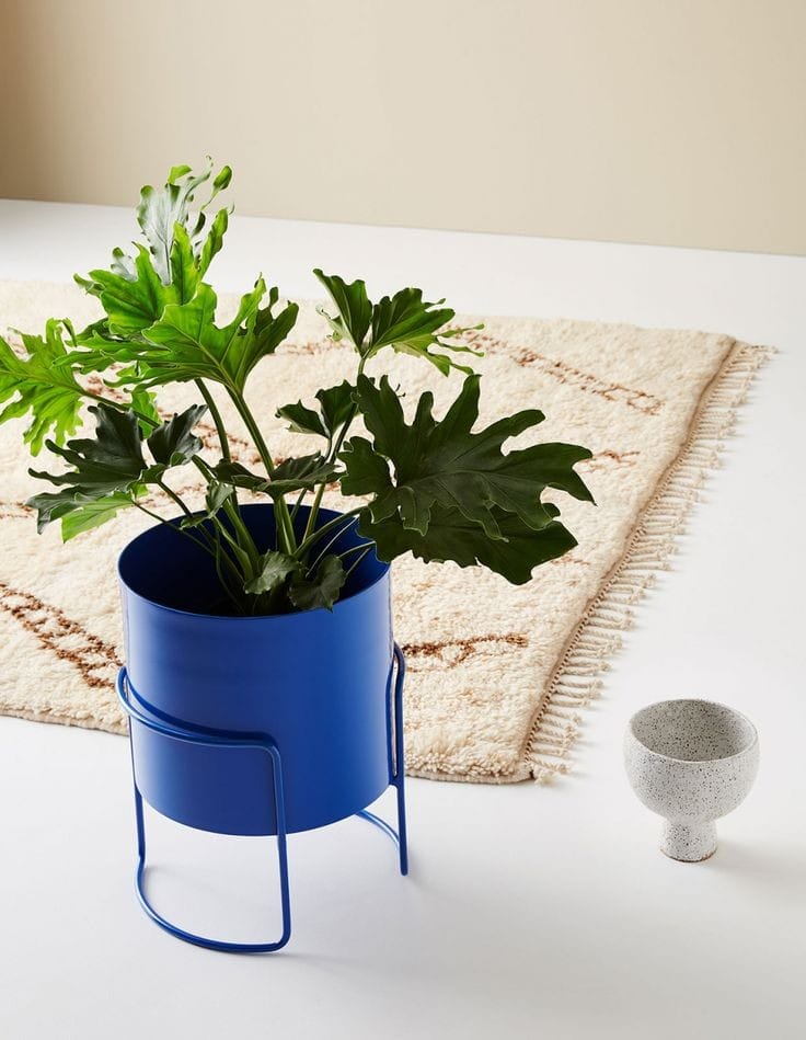 Cobalt Cylinder Planter with Stand